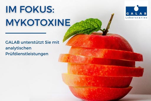 Im Fokus: Mykotoxine