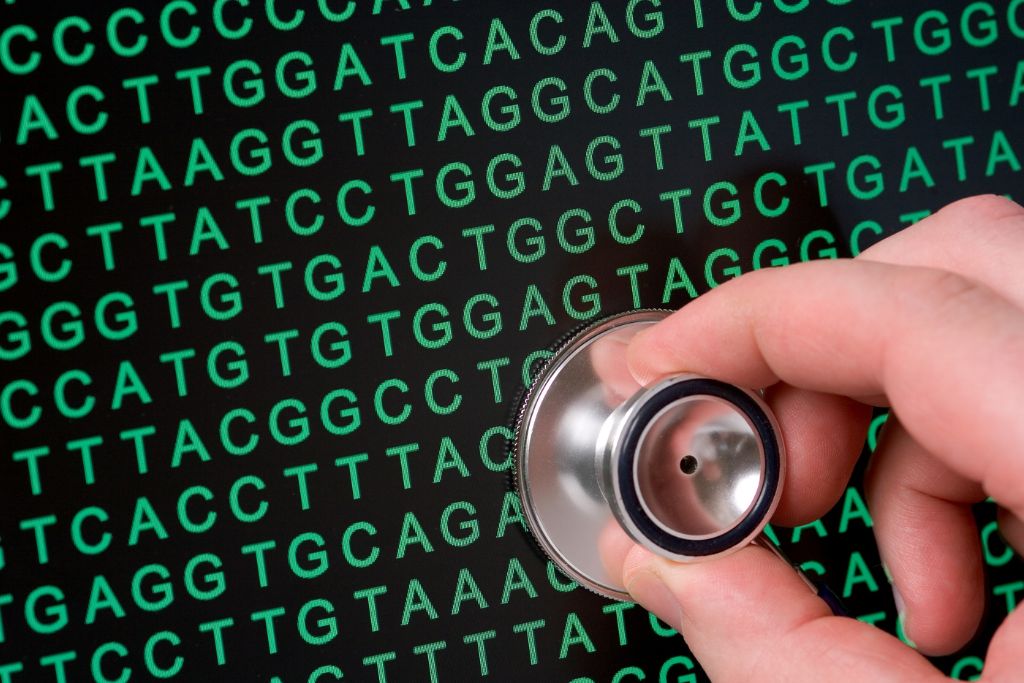 Screening GMO Galab Laboratories GmbH